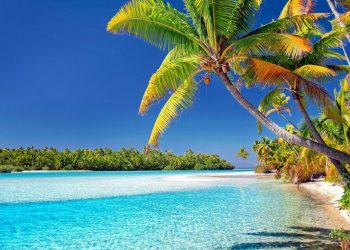 Cook Islands beach scene. Image by Julius Silver from Pixabay