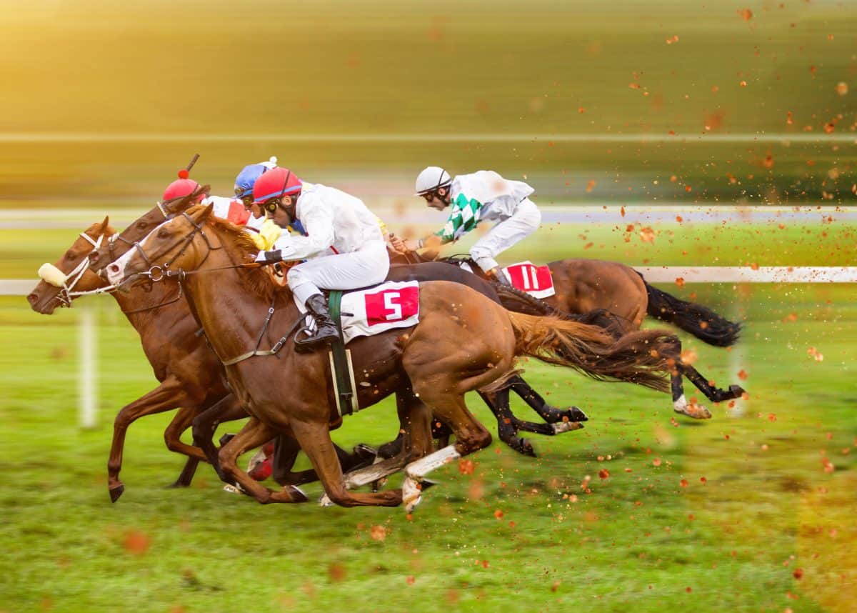 Why Is Horse Racing So Popular In Certain Countries 