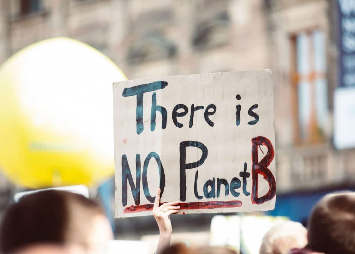 Which species will win and lose in a warmer climate