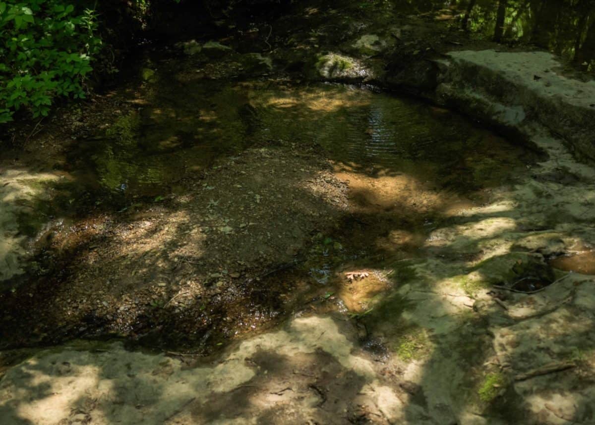 Our field cameras melted in the bushfires