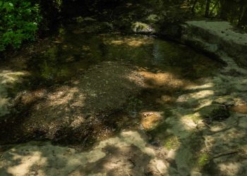 Our field cameras melted in the bushfires