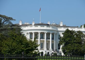 US coronavirus data will now go straight to the White House