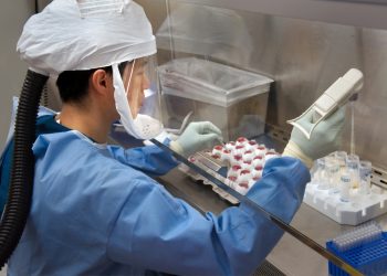 Finding the source of an outbreak