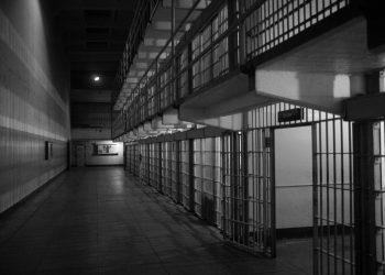 Police solve just 2% of all major crimes