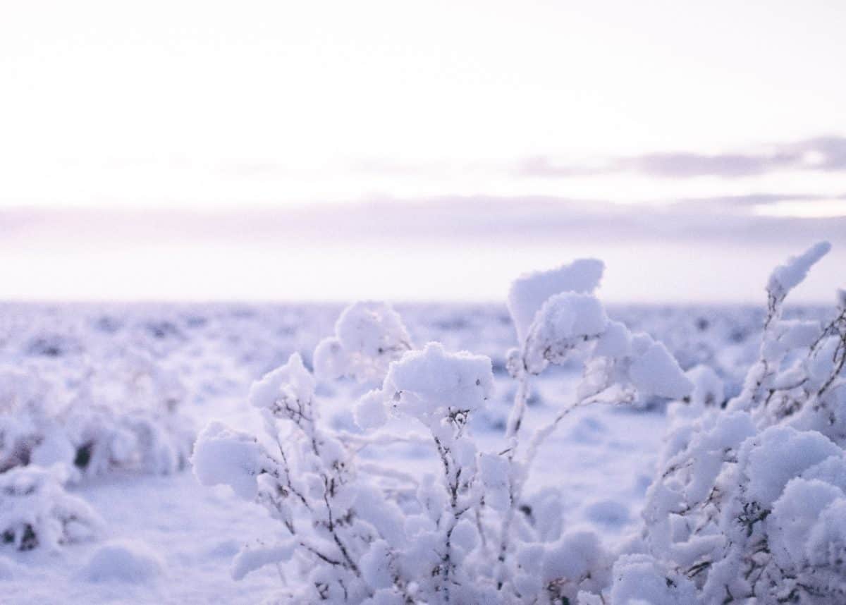 The stunning Australian Alps