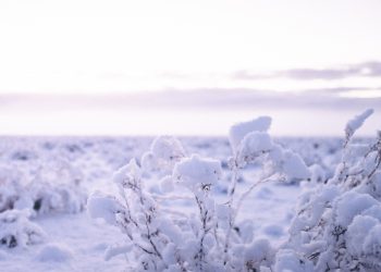 The stunning Australian Alps