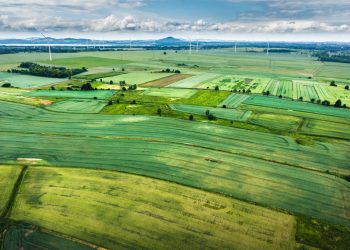 EU subsidies benefit big farms