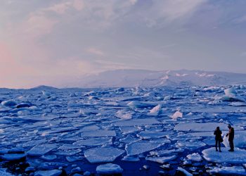 Arctic sea ice is being increasingly melted