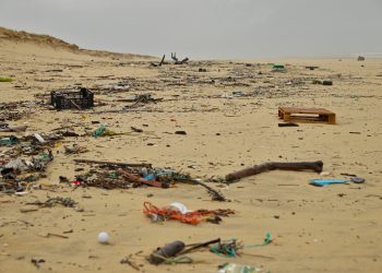 The ocean is swimming in plastic