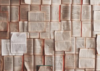 Australian government must act urgently