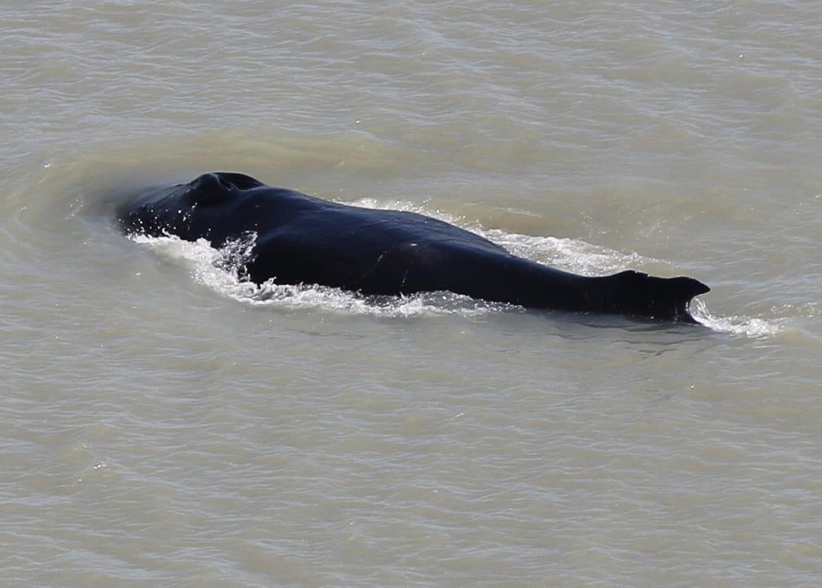 Photo credit: Kakadu National Park