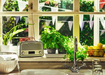 Farewell to the ABC’s 7:45am bulletin