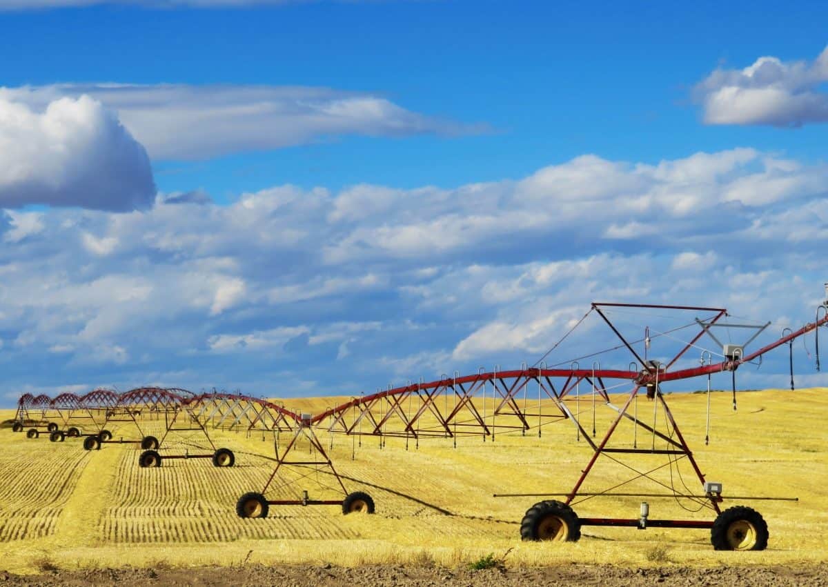 Morrison government plan to scrap water buybacks