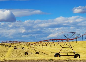 Morrison government plan to scrap water buybacks