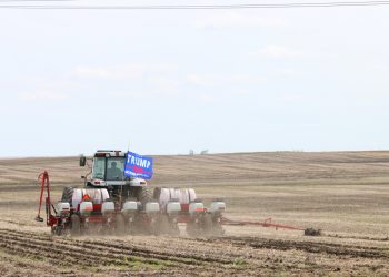 Momentum vs underdog status