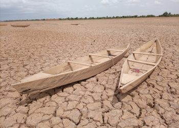 Lockdown had little to no effect on global temperatures