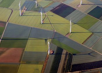What the world can learn from clean energy transitions