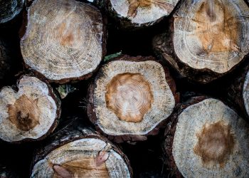 EU net-zero emissions plan