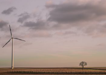 New Zealand zero-carbon law