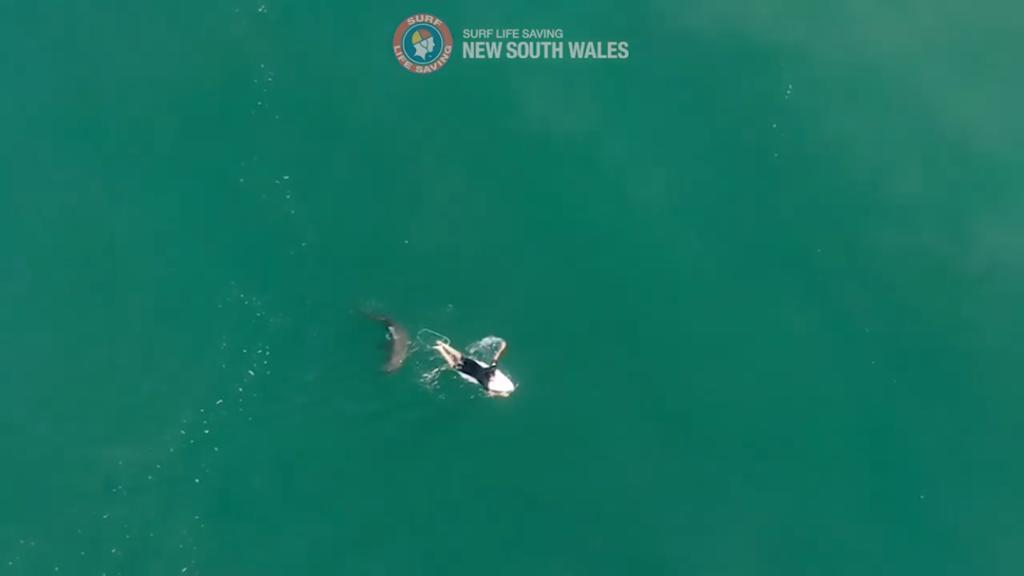 Photo credit: YouTube screengrab from Surf Life Saving NSW