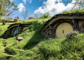 New Zealand’s political agenda