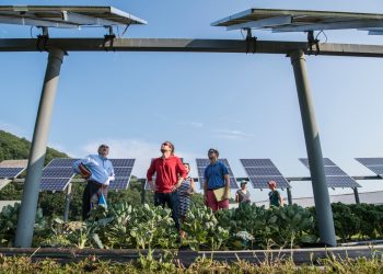 ‘Backwards’ federal budget