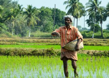 World Food Programme can’t build peace on its own