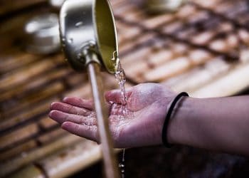 What developing countries can teach us