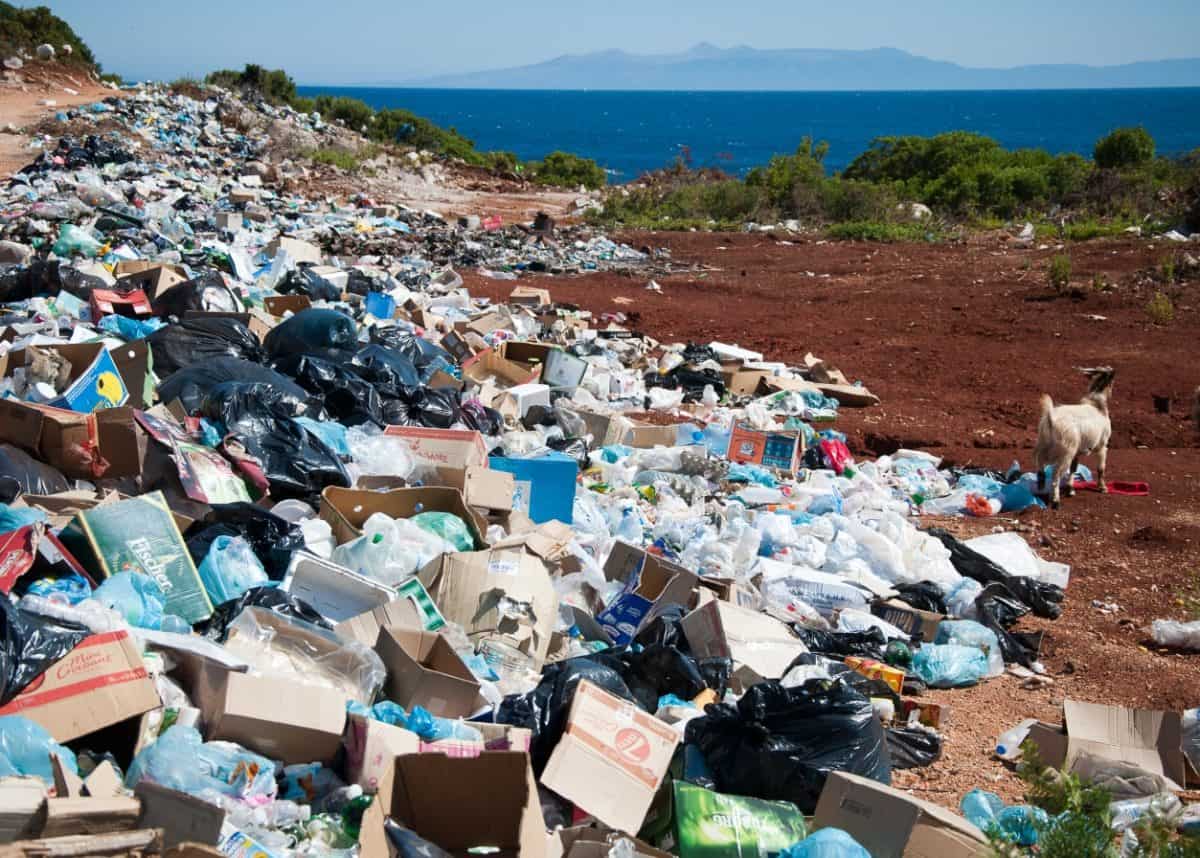 Handling the waste crisis in Australia