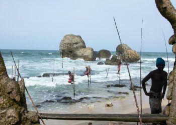 People are surviving – and in some cases, thriving