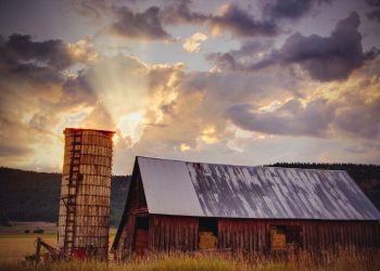 Insurers need to provide guidance