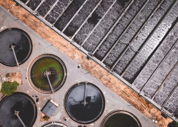 COVID-19 disease surveillance