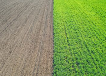 Global food system emissions