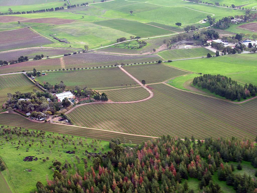 Barossa Valley wine-growing region, South Australia. Photo credit: Wikimedia Commons