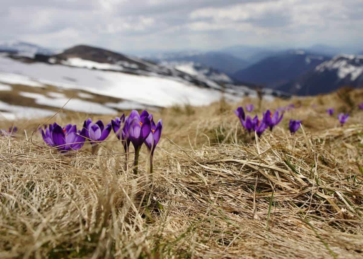 Back to normal by spring