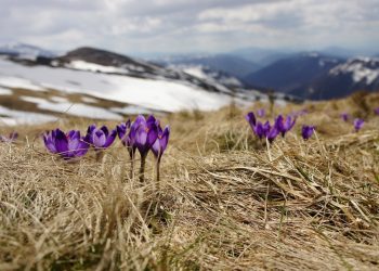 Back to normal by spring