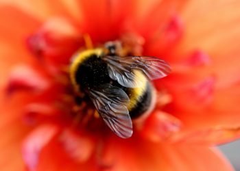 Australia is already about 1.5℃ warmer than it was 100 years ago