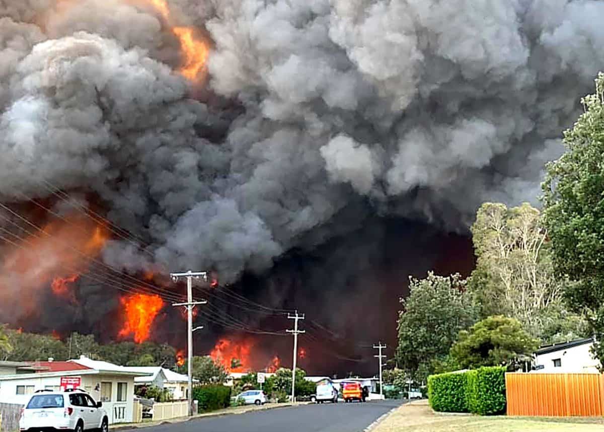 Generic photo of the Black Summer bushfires. Photo credit: Wikimedia Commons