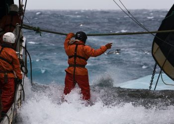 Fishing on the high seas is a bit of a mystery