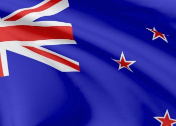 New Zealand’s 2020 report card