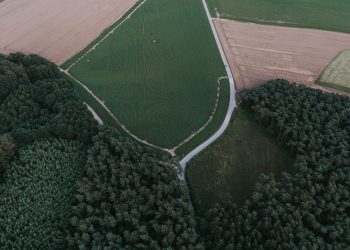 The challenge is to remain within the doughnut