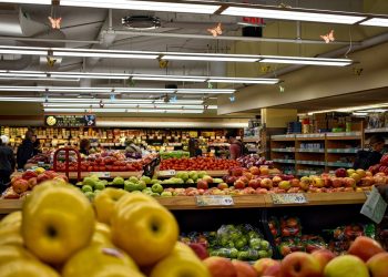 The UK’s reliance on the EU