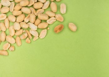 Severe allergic reactions to vaccines are extremely rare