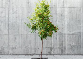 Airborne particles are still the biggest problem