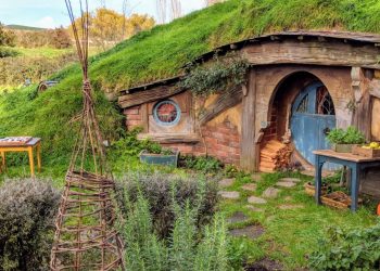 New Zealand is definitely warming up