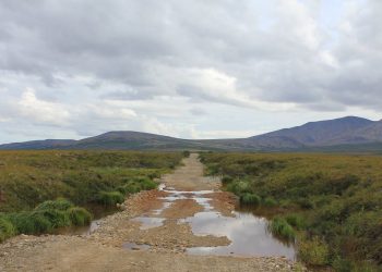 Permafrost is thawing across the Arctic, releasing microbes and organic materials that have been trapped in the frozen ground for thousands of years. NOAA via Wikimedia Commons