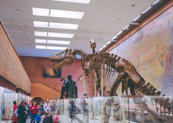 Knowledge of the natural world