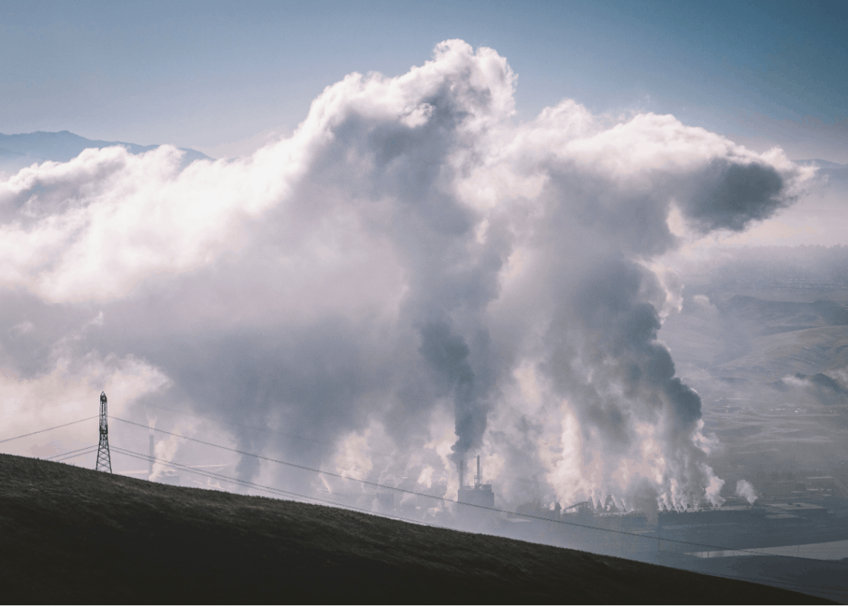 Mass extinction, climate disruption and planetary toxification