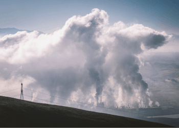 Mass extinction, climate disruption and planetary toxification