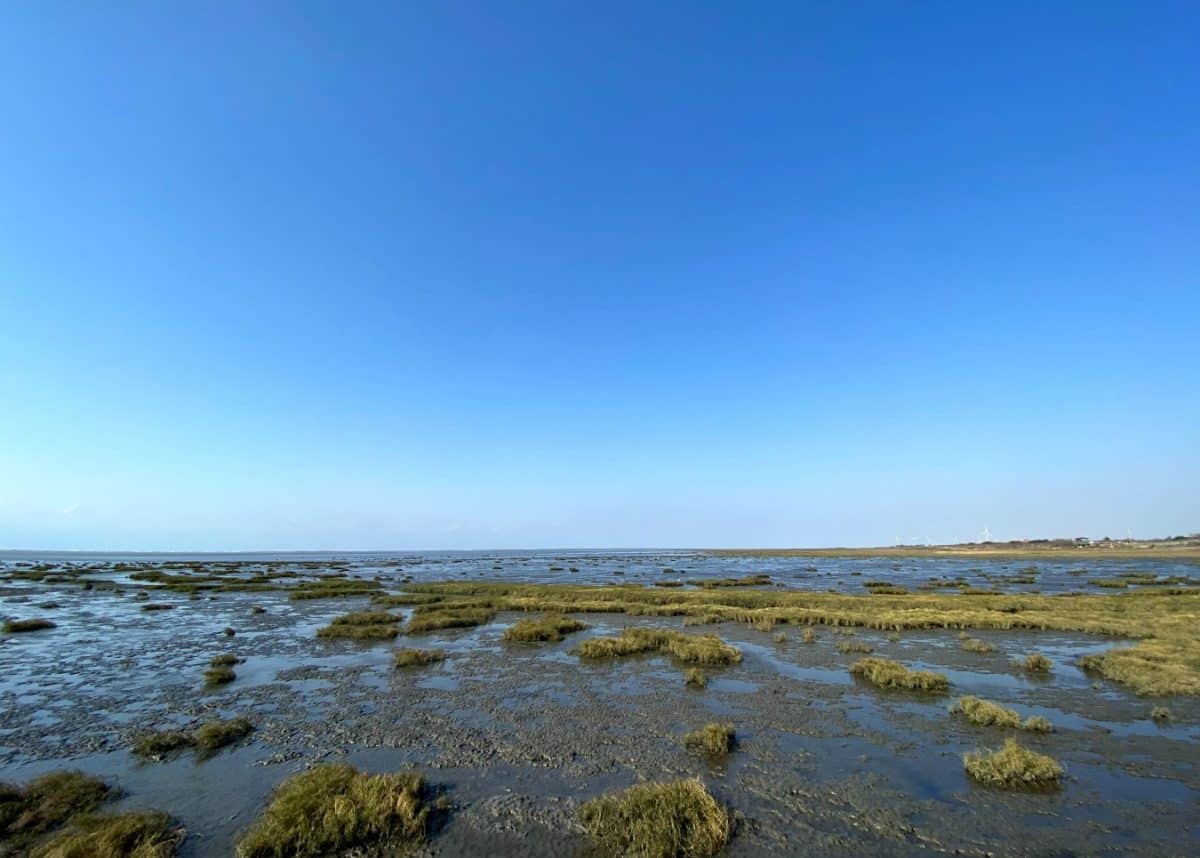 Keeping wetlands safe